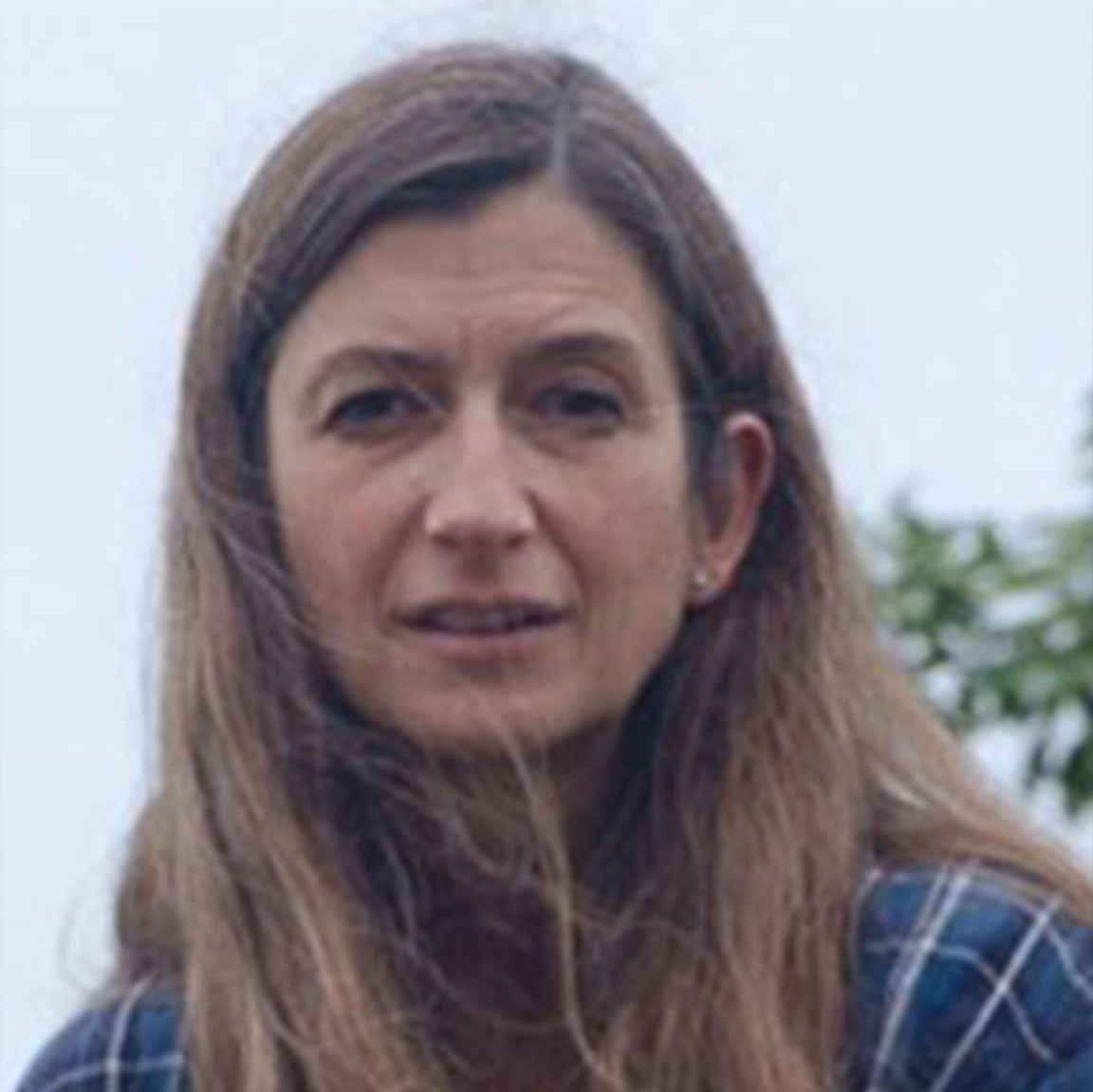 Carol Fletcher
